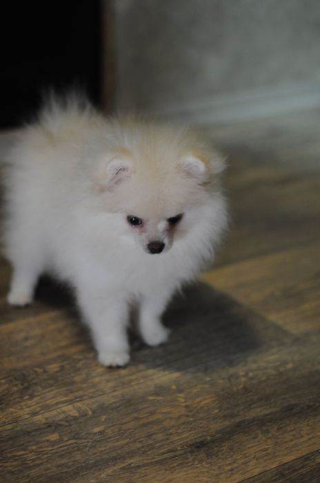 Плюшевая мини девочка