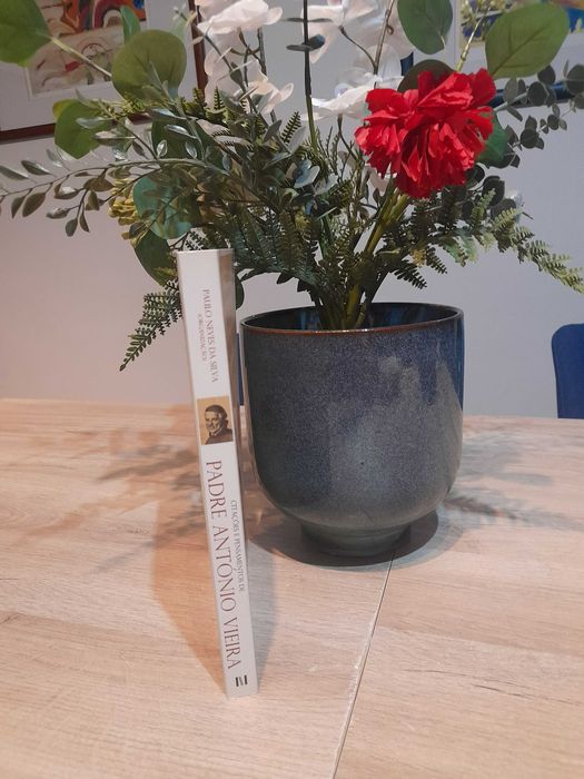 Citações e Pensamentos de Padre António Vieira