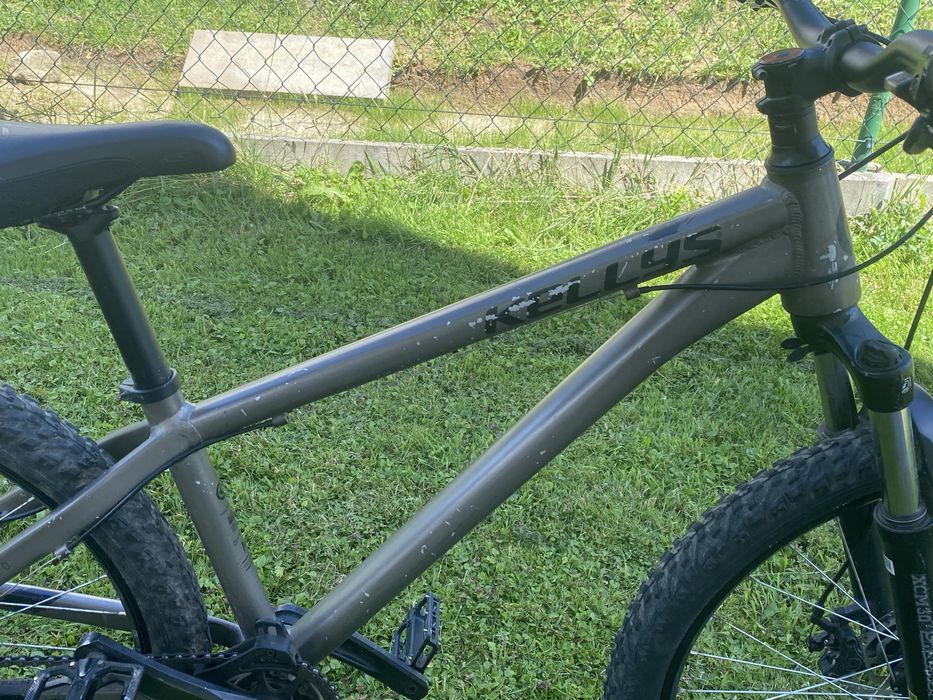 Kellys Whip 10