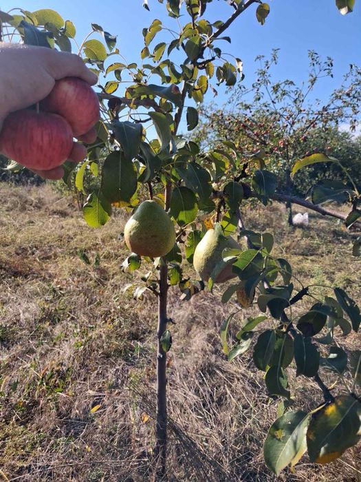 Продам земельну ділянку в Марʼяновке