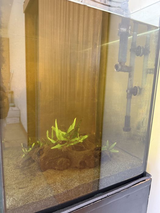 Aquario 300 litros completo