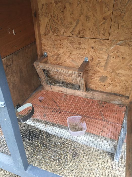Клітка для кролів