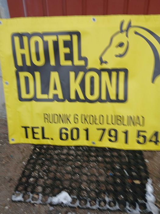 Pensjonat dla koni, Lublin