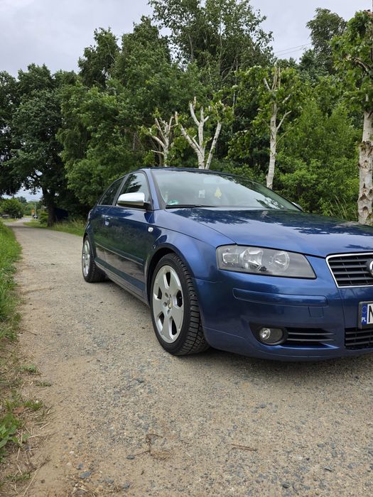 Audi A3 8P 1.9TDI 105Km