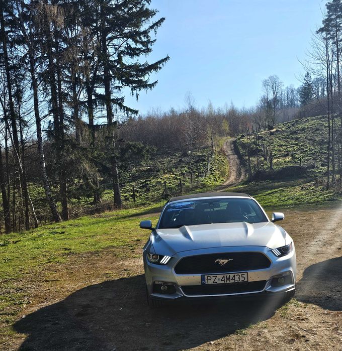 Ford Mustang CABRIOLET 2,3 EcoBoost  (VI, generacja 2016)