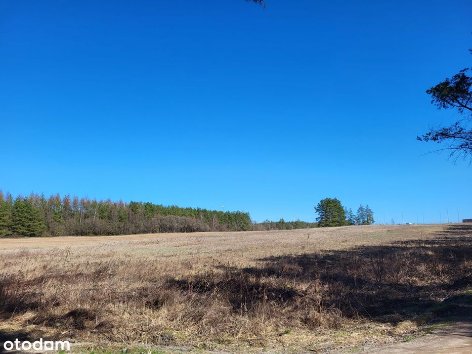 Wasilków ul.Jelenia FV23% - Widok 5