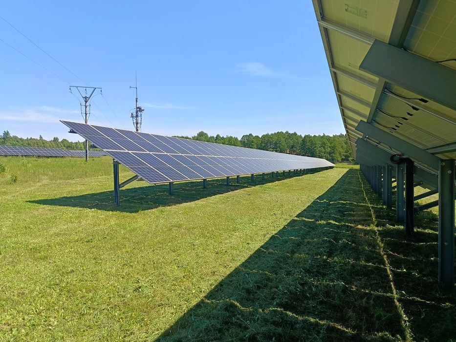 Wycinka drzew ,Koszenie trawy, zakładanie ogrodów, wywóz Wb garden
