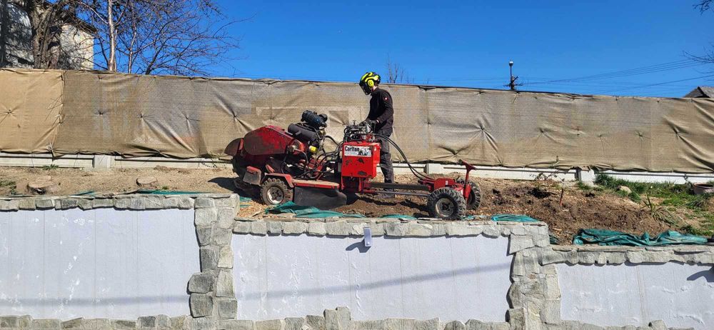 FREZOWANIE PNI DRZEW / KORZENI - Usuwanie Pni, Karp - Frezarka Do Pni