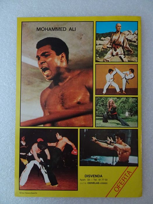 Caderneta de cromos Artes Marciais - Disvenda (tem 16 cromos)