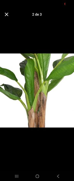 Bananeiras artificiais lindissimas para decorações