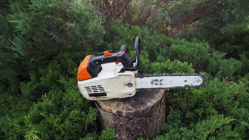 STIHL MS 201 Tc MS201TC Pila Pilarka Spalinowa CIESIELKA galeziowka Fv 23%