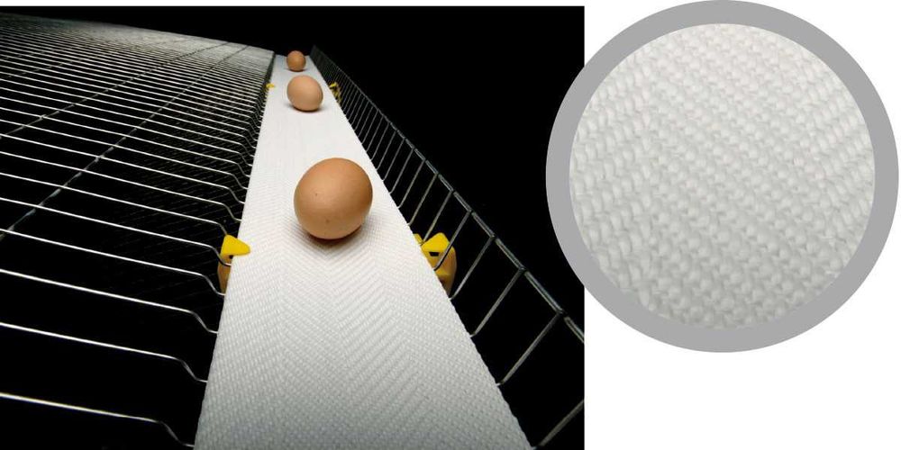 Стрічка яйцезбору в автоматичних гніздах та клітках утримання птиці