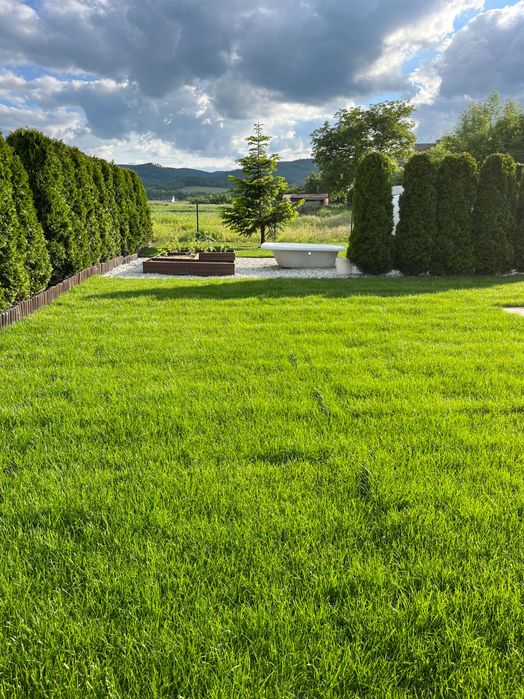 Usługi ogrodnicze - wycinka drzew, koszenie, ogrodnik,