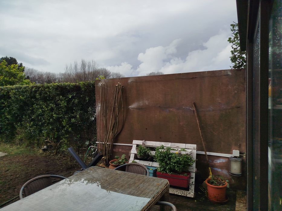 Podas e abates de árvores