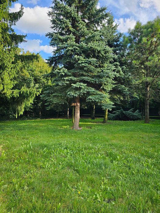 Działka rolno-budowlana o powierzchni 3,25 ha