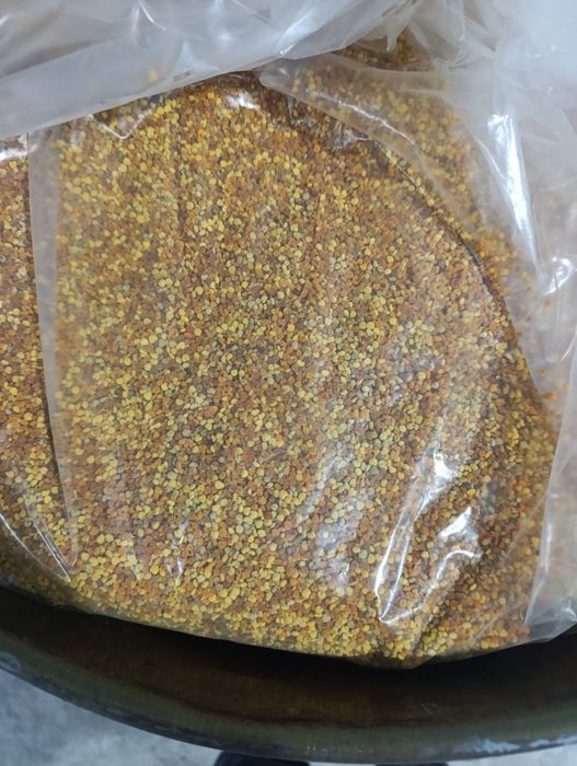 Pyłek pszczeli wysoka jakość super cena