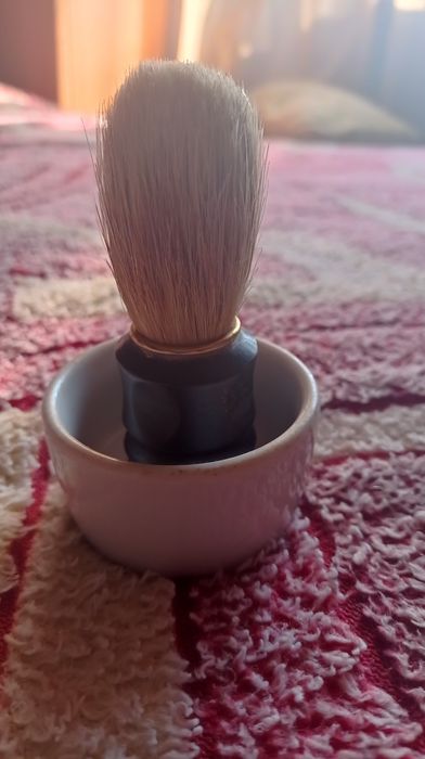 Большой памозок барсук