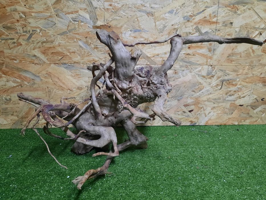 Korzeń do akwarium Red Moore Wood nr 863 o wymiarach 55/39/35