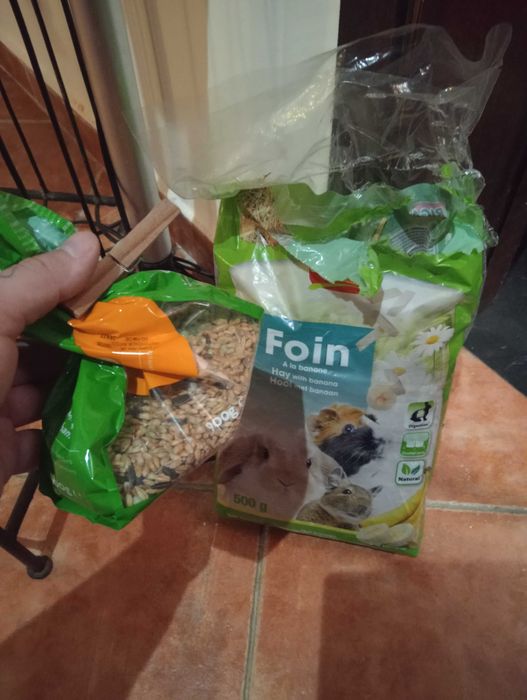 Hamster anão com gaiola