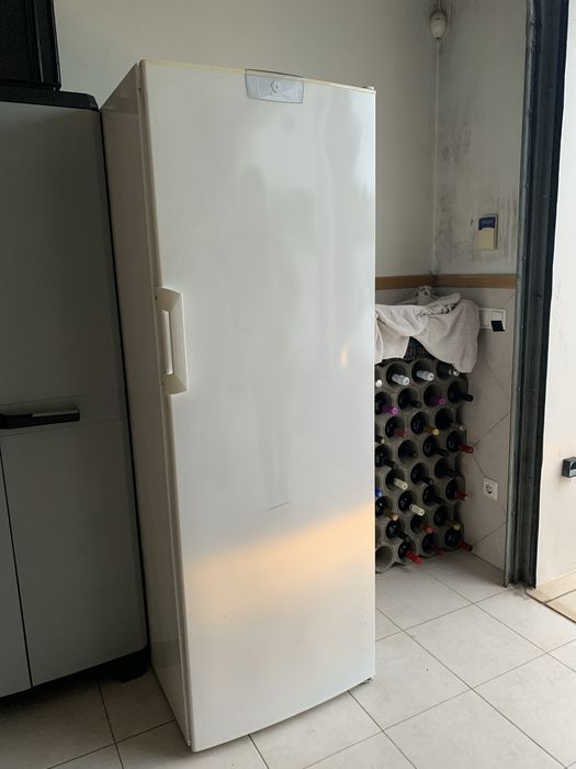 Arca frigorifico vertical balay