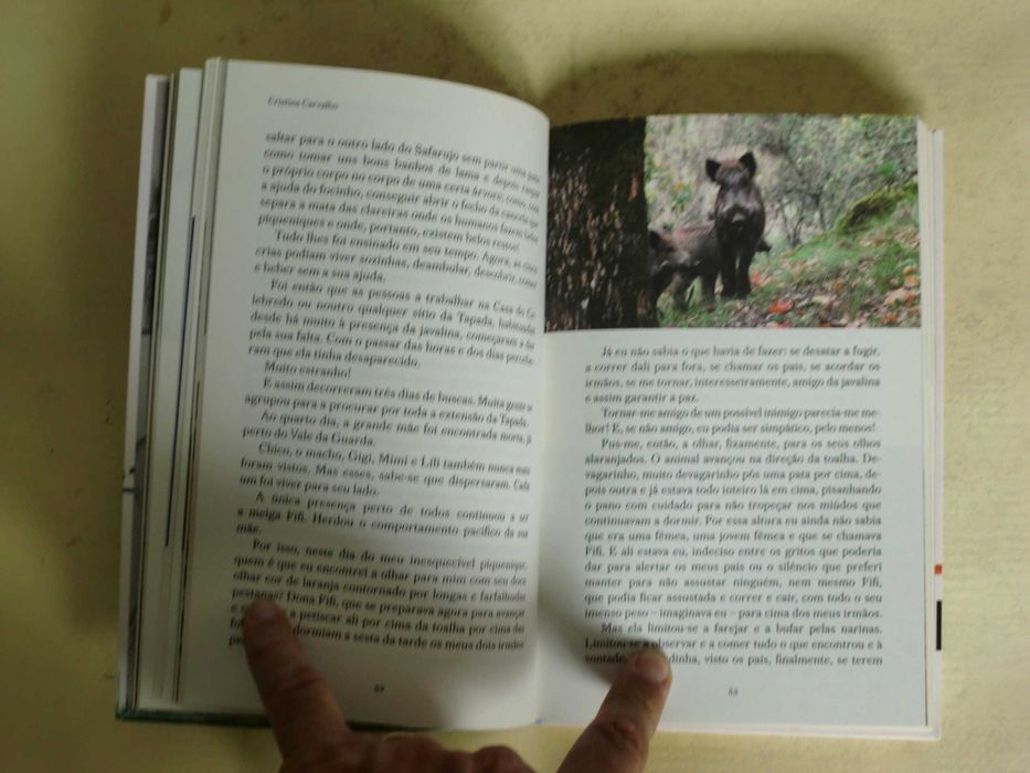 As fabulosas histórias da Tapada de Mafra
de Cristina Carvalho