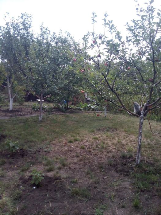 Дача Комунальник 10 соток