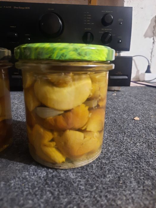 Grzyby marynowane mieszane 0,5l 4 sztuki.