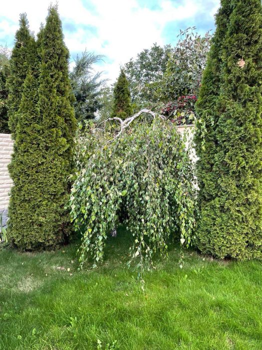 229 тыс $‼️‼️Капитальный ДОМ на Флоринке/297 м2/Родичи