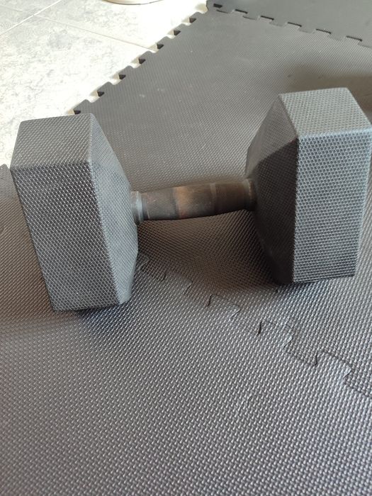 1 haltere domyos 22,5kg