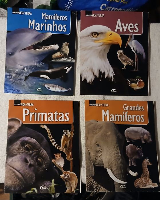 Lote Revistas Enciclopédia Vida e Terra