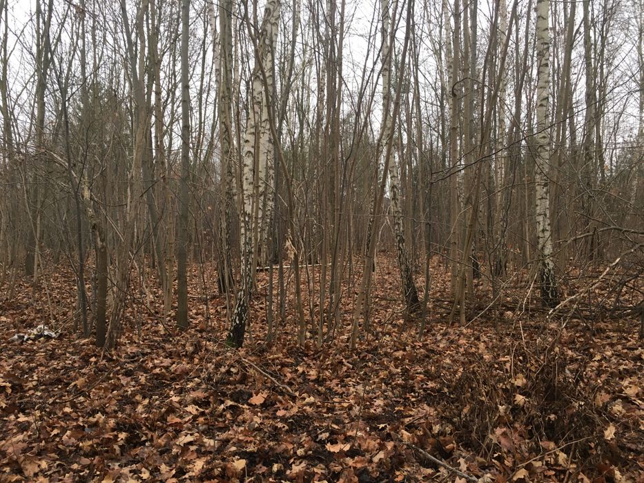 Sprzedam dzialke 10.600M2