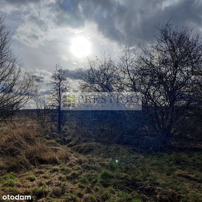 Działka pod budowę domu, 1000 m2 Dołuje
