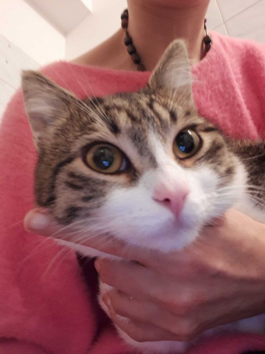 Adopcja mama i synek – duet, którego nie warto rozdzielić.