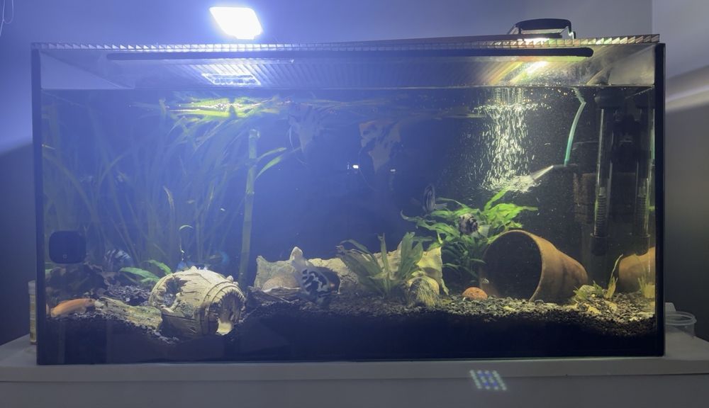 Sprzedam akwarium 112l