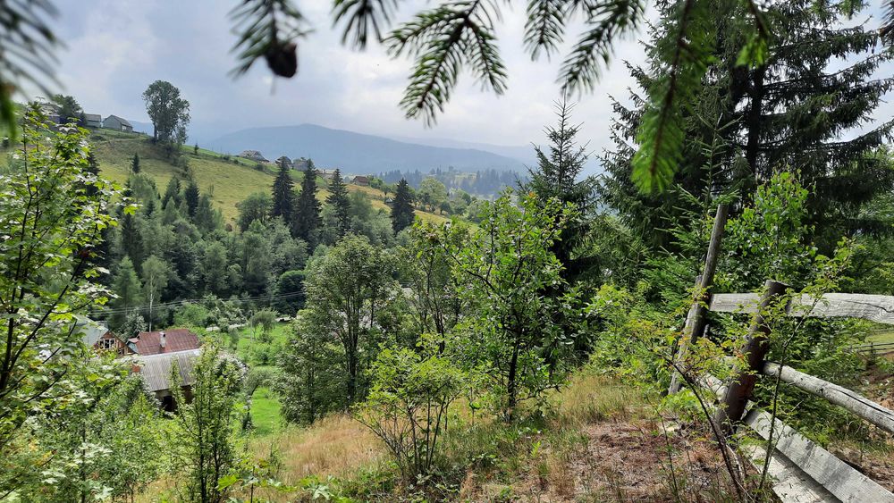 Дві ділянки 31 сотка, та пів хати. Ліс, річка. Світ, криниця, асфальт