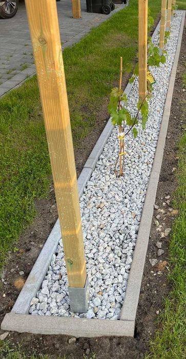 Grys granitowy, DALMATYŃCZYK 8-16, 16-22