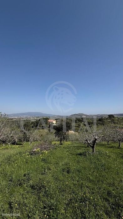 Agricultural Land in Casal das Marinelas