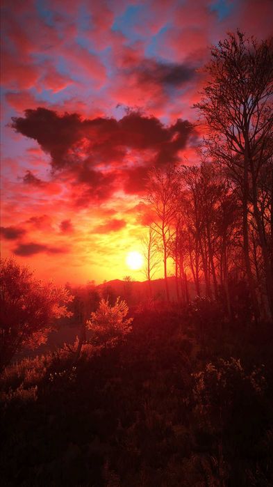 Ведьмак 3 Дикая Охота! ПК DLC Полное издание The Witcher 3 Wild Hunt