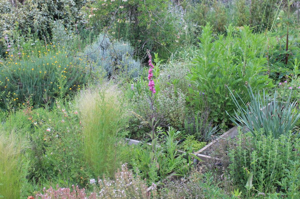 casa de campo em madeira na natureza