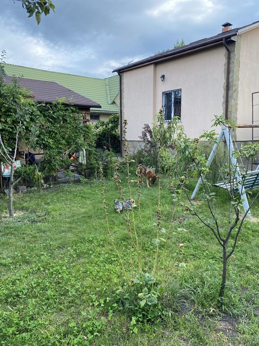 Перетримка тварин. Гарні умови. Любим і котиків і собак)