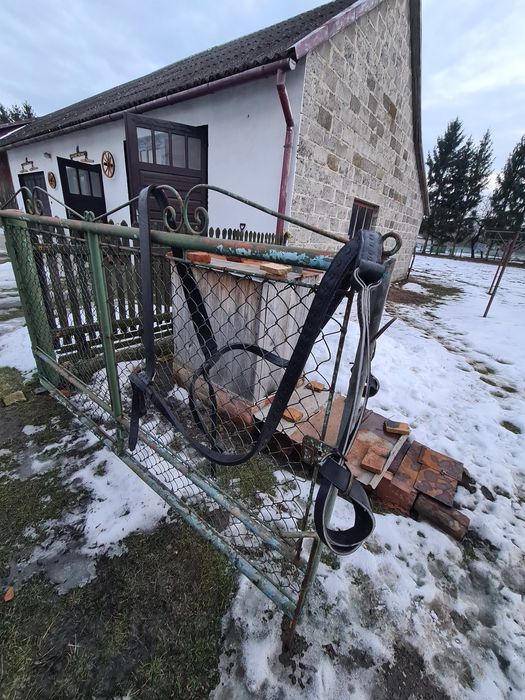 Pasy  pociągowe XXL