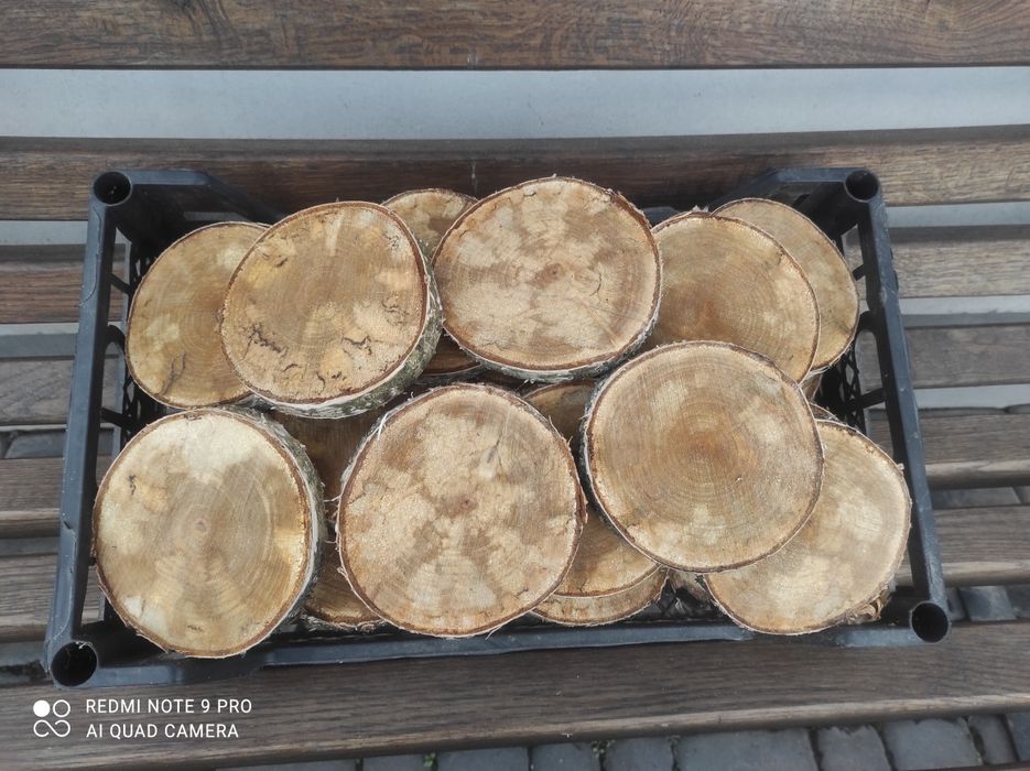 Зрізи дерева для творчості