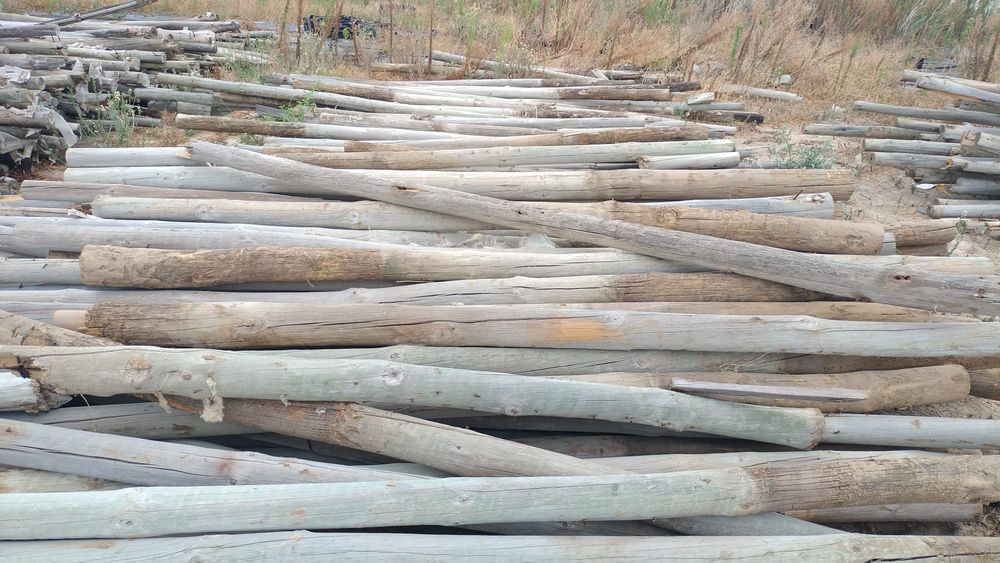 Postes tratados.               .