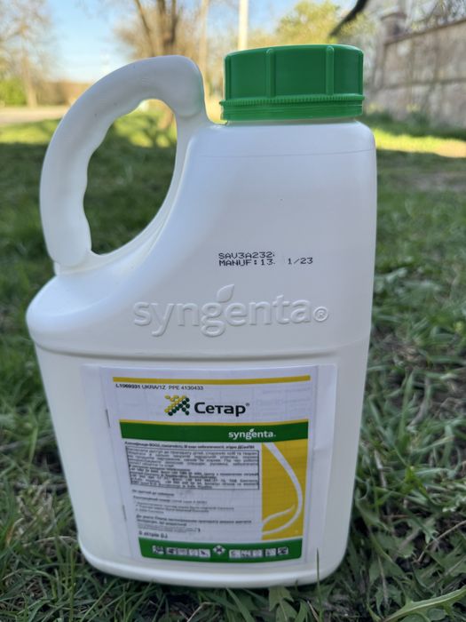 Фунгціид Сетар Сенгента