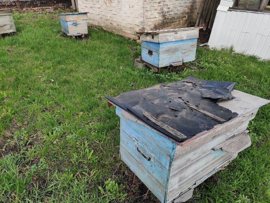 Продам вулики бджолині дерев’яні б/у