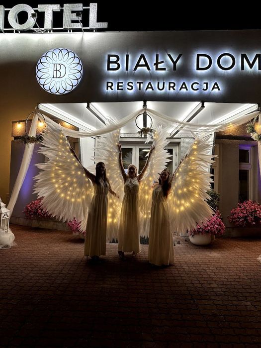 Pokaz taneczny na przyjęcia firmowe, wesele, urodziny, imprezy