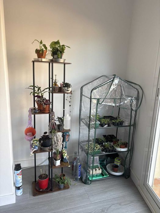 Kwietnik stojak regał na kwiaty rośliny 7 poziomów 140 cm