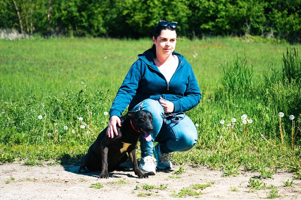 NENA - śliczna sunia w typie labrador