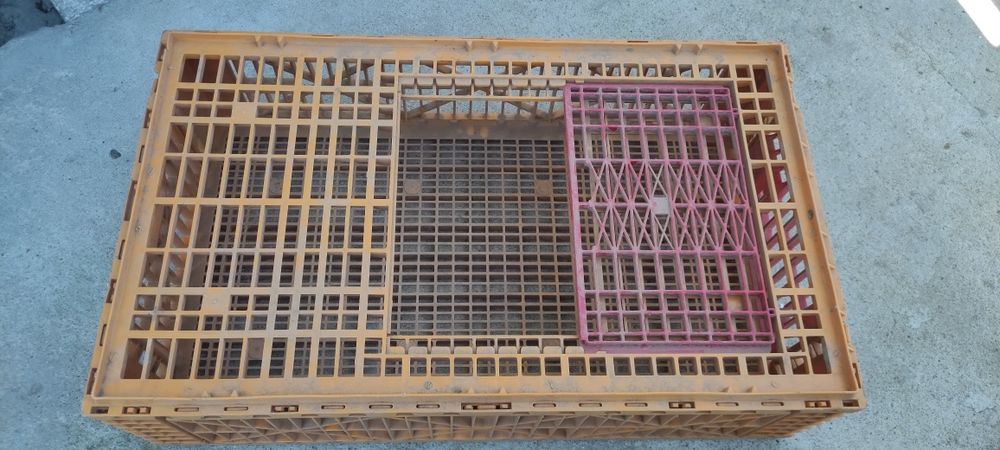 Gaiolas para transportar animais