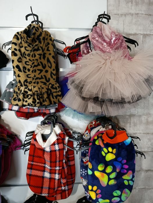 Одяг для собак,котов